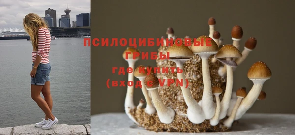 спиды Алексин