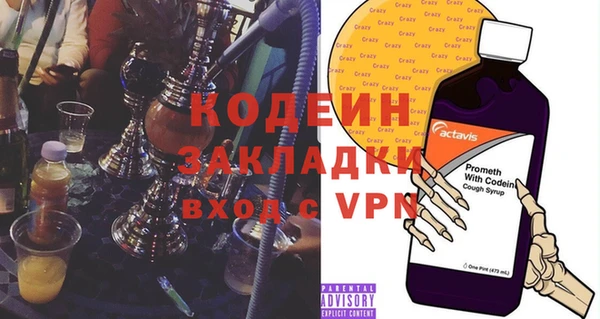 гидра Каменка